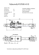 Гидроцилиндр культиватора КГП-6.2 СООО "Элезер" КГЦ 755.80-40-50