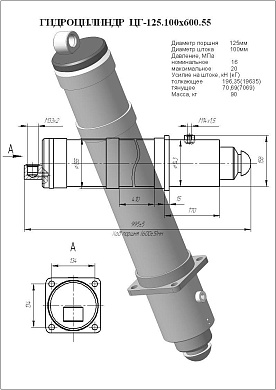 Гидроцилиндр ЦГ-125.100х600.55