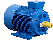 Общепромышленный асинхронный электродвигатель АИР 250М2